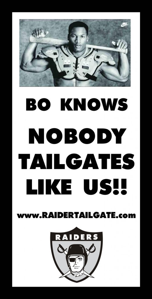 Bo-Knows-Banner